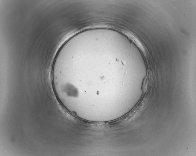 X0000115020813200912071026