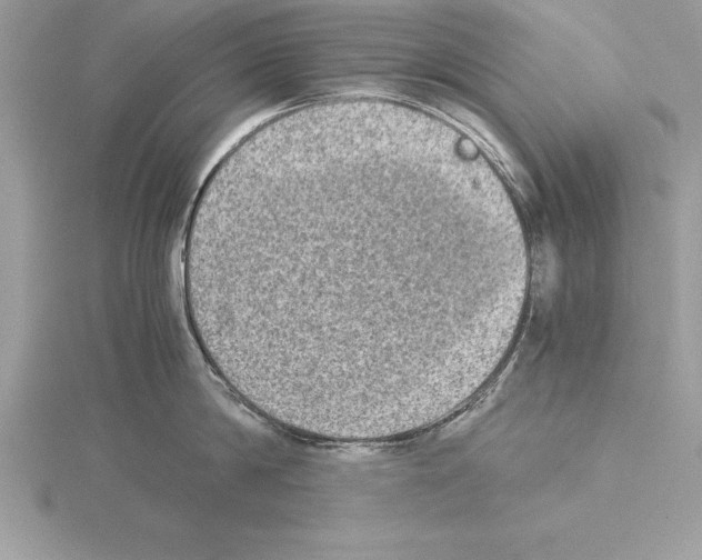 X0000115020814200912071026