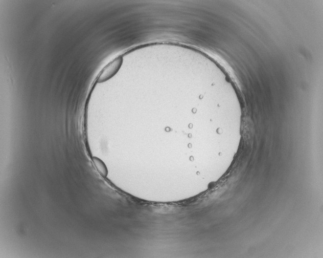 X0000115020815200912071026