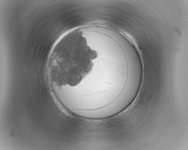 X0000115020816200912071026