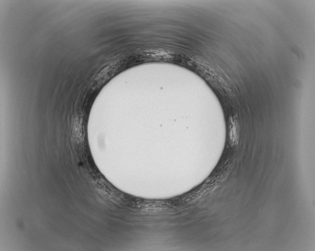 X0000115020819200912071025