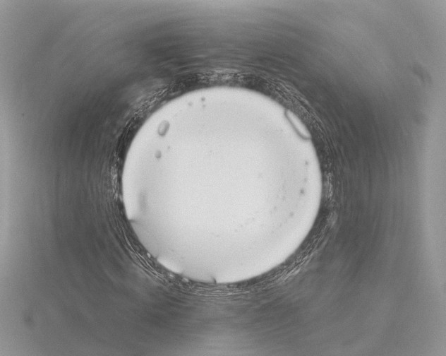 X0000115020820200912071025