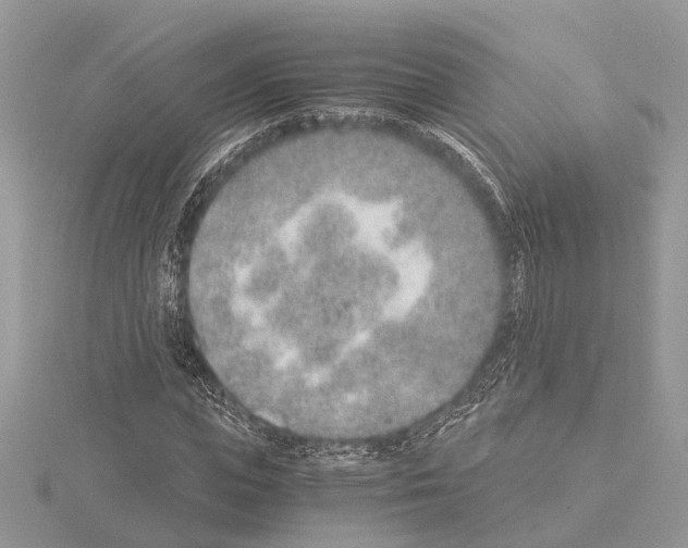 X0000115020823200912071025