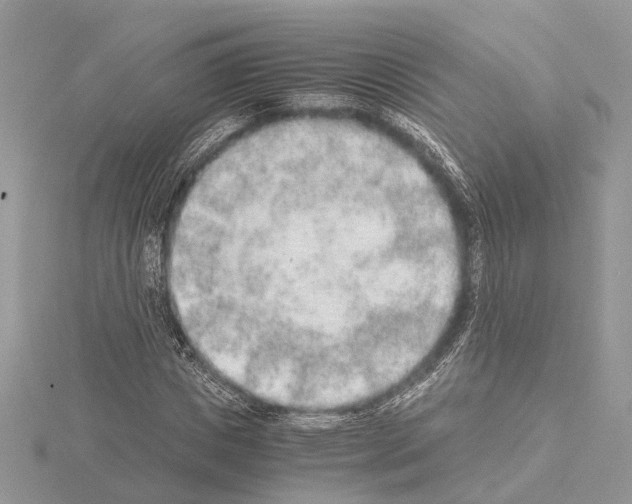 X0000115020825200912071025