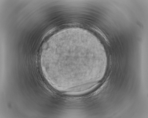 X0000115020826200912071025