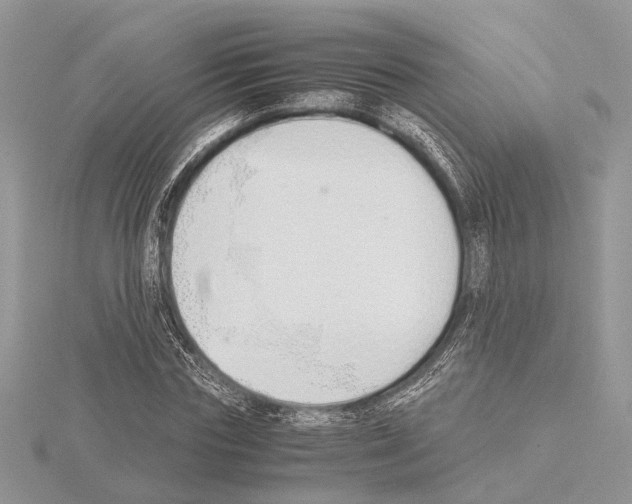 X0000115020827200912071025