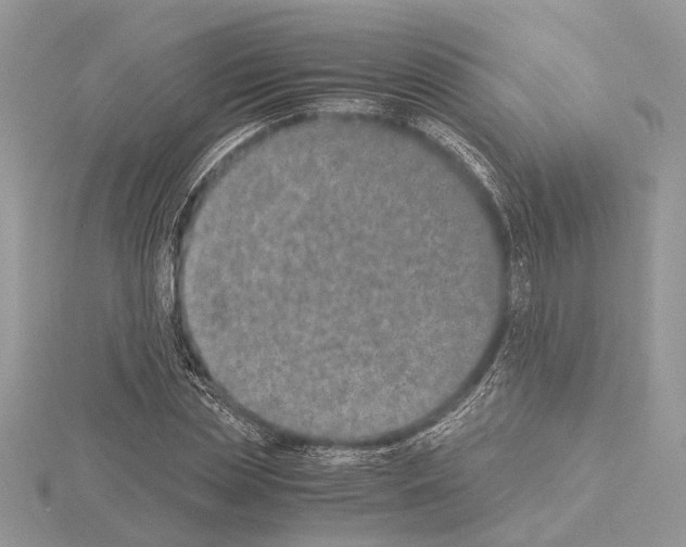 X0000115020829200912071025