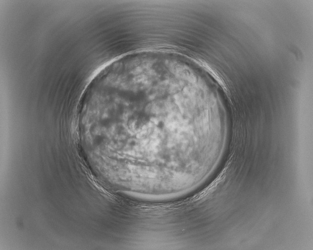 X0000115020830200912071025