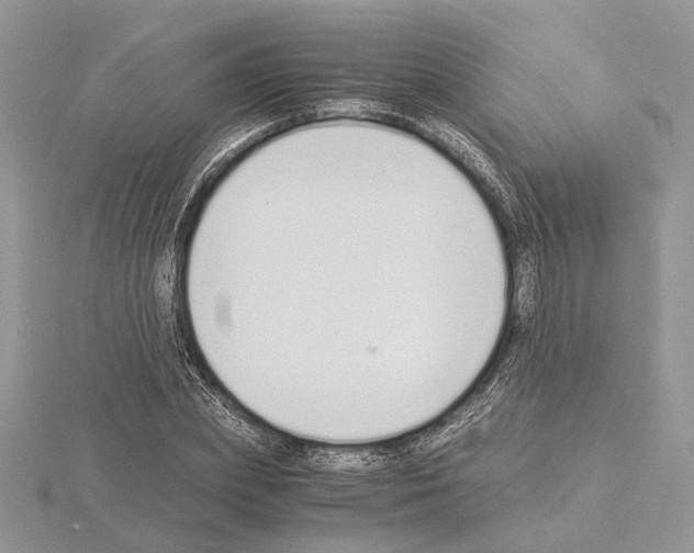 X0000115020831200912071025