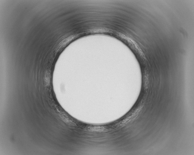 X0000115020833200912071025