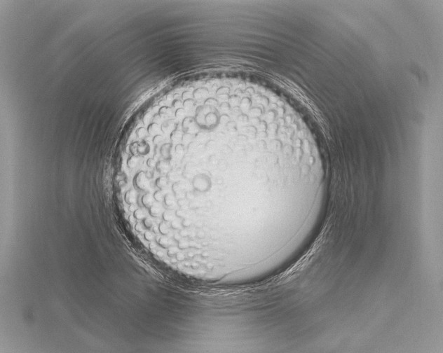 X0000115020834200912071025