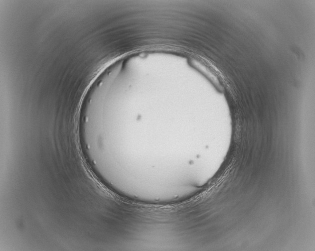 X0000115020836200912071025