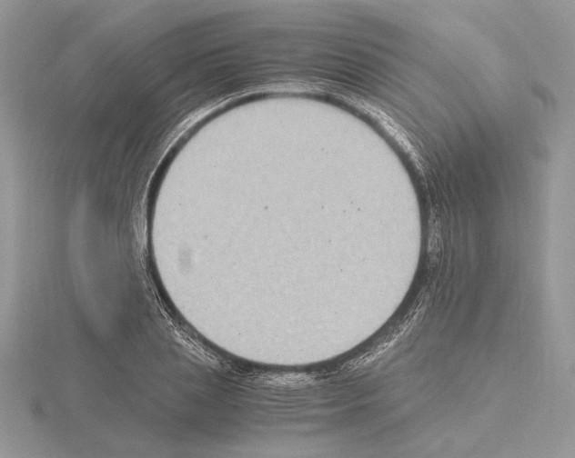 X0000115020837200912071025