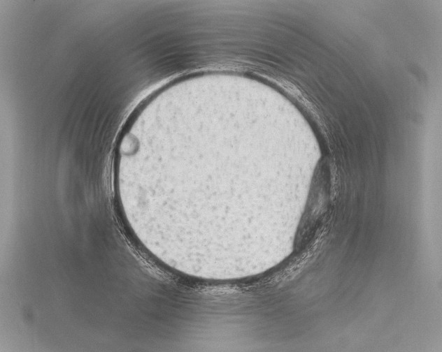 X0000115020838200912071025