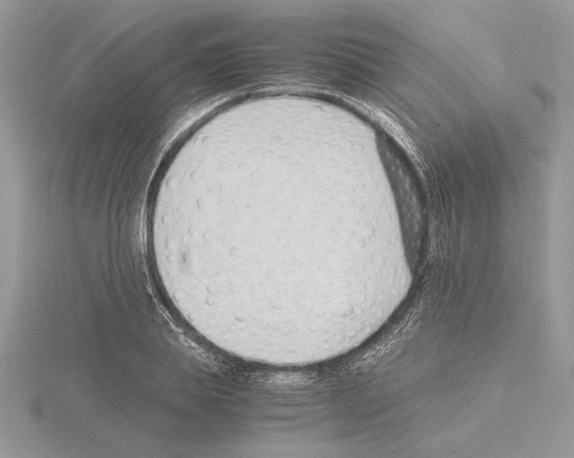 X0000115020839200912071025