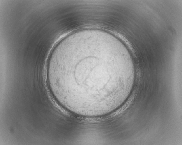 X0000115020840200912071025