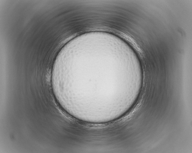 X0000115020841200912071025