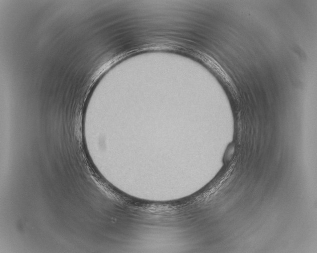 X0000115020842200912071025