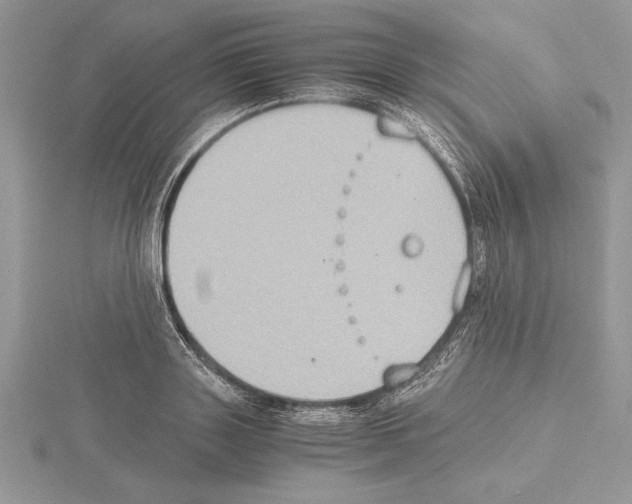 X0000115020843200912071025