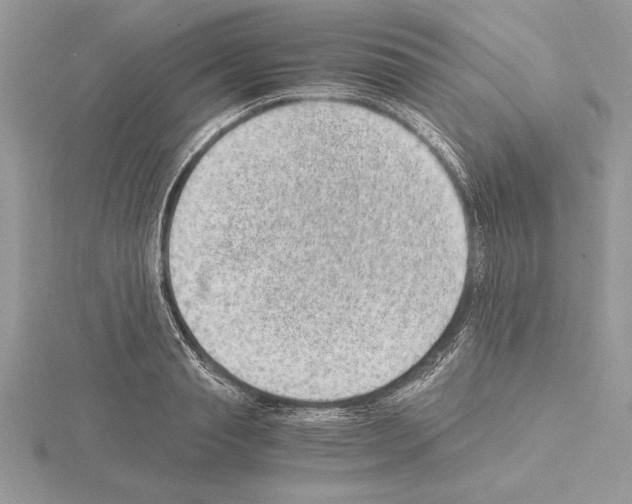 X0000115020845200912071026