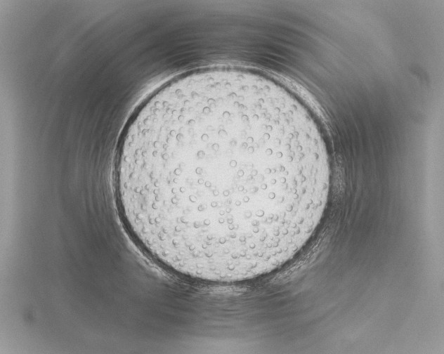 X0000115020847200912071026