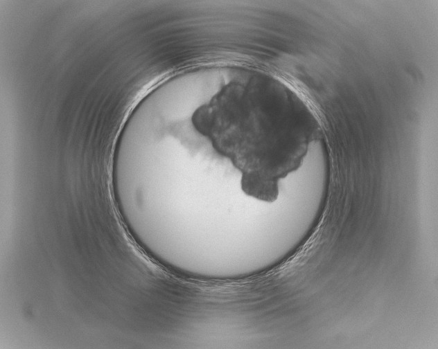 X0000115020850200912071026