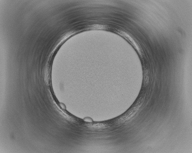 X0000115020851200912071026