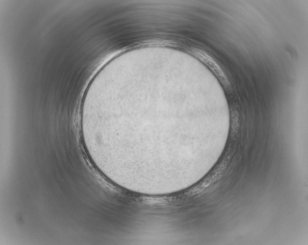 X0000115020852200912071026