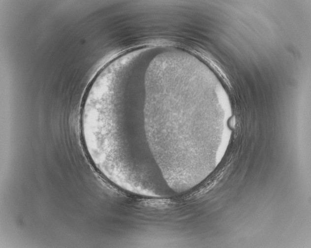 X0000115020853200912071026