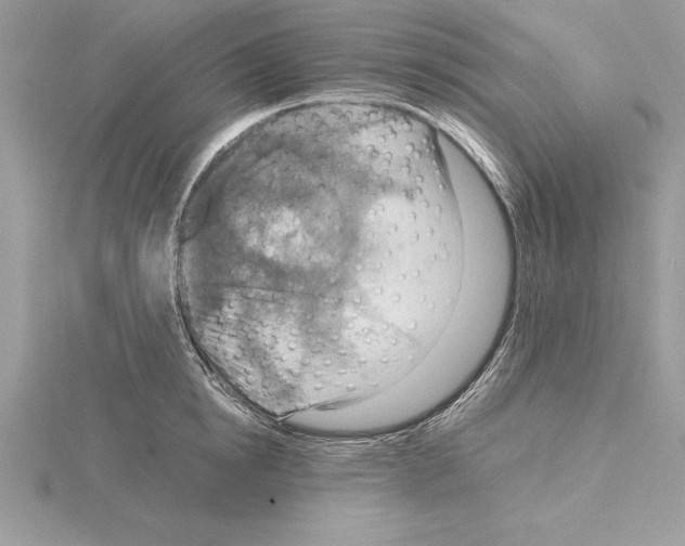 X0000115020854200912071026