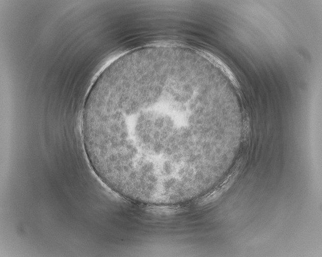 X0000115020855200912071026