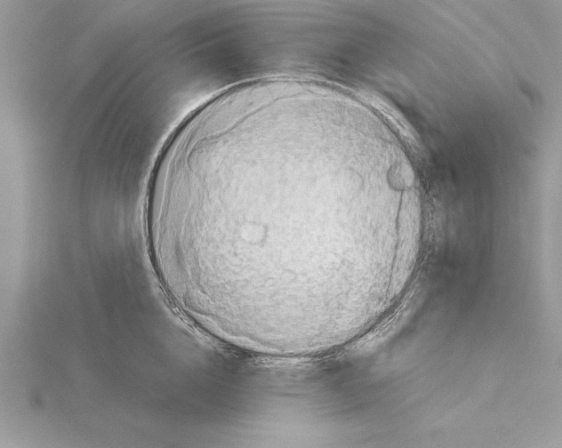 X0000115020856200912071026