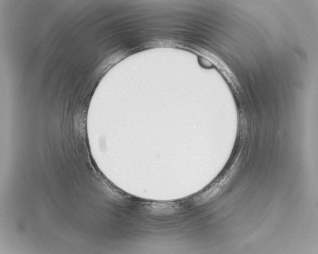 X0000115020857200912071026