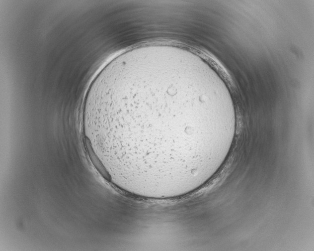 X0000115020860200912071026