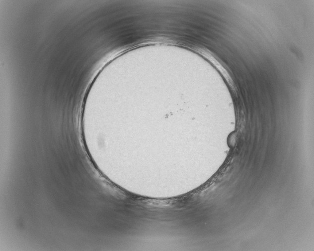 X0000115020861200912071026