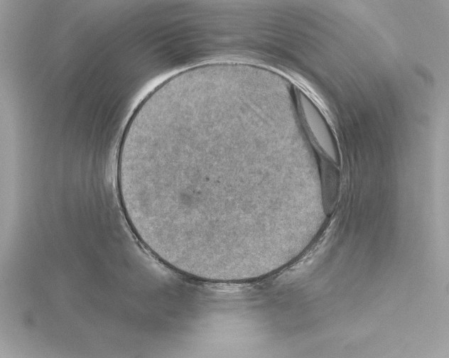 X0000115020862200912071026