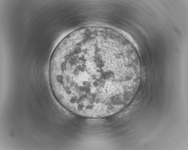 X0000115020863200912071026