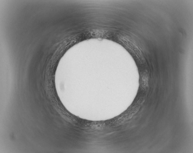 X0000115020865200912071025