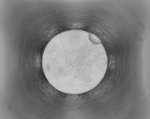 X0000115020866200912071025