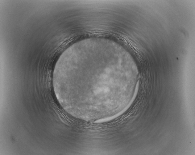 X0000115020868200912071025