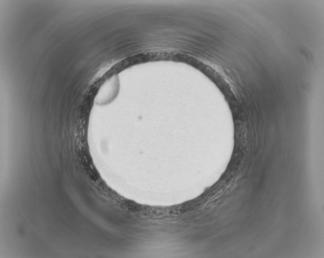 X0000115020871200912071025