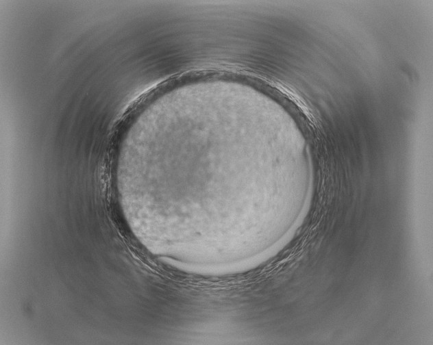 X0000115020872200912071025