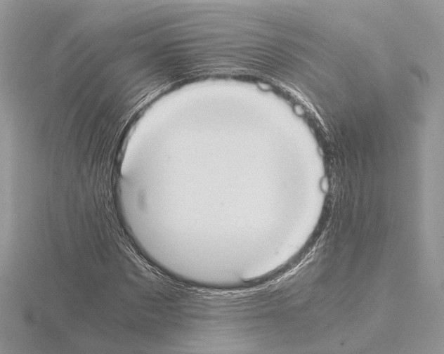 X0000115020873200912071025