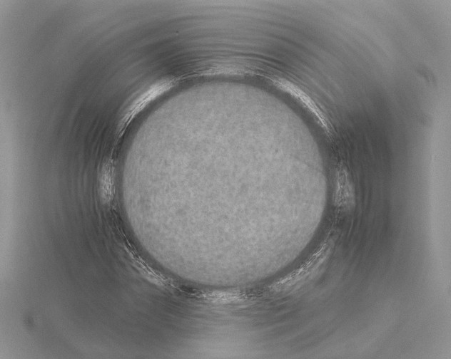 X0000115020874200912071025