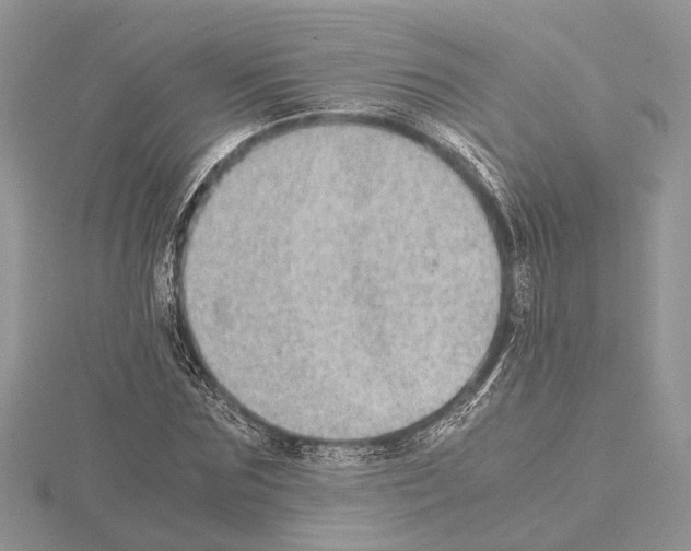 X0000115020875200912071025