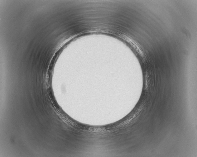 X0000115020876200912071025