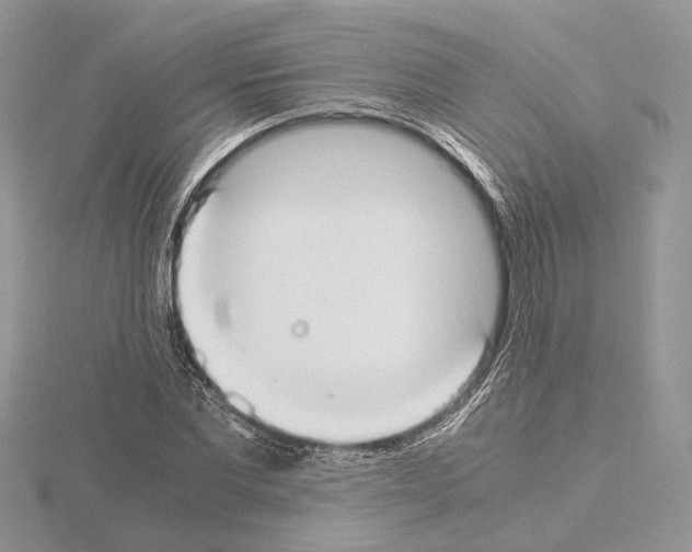 X0000115020877200912071025