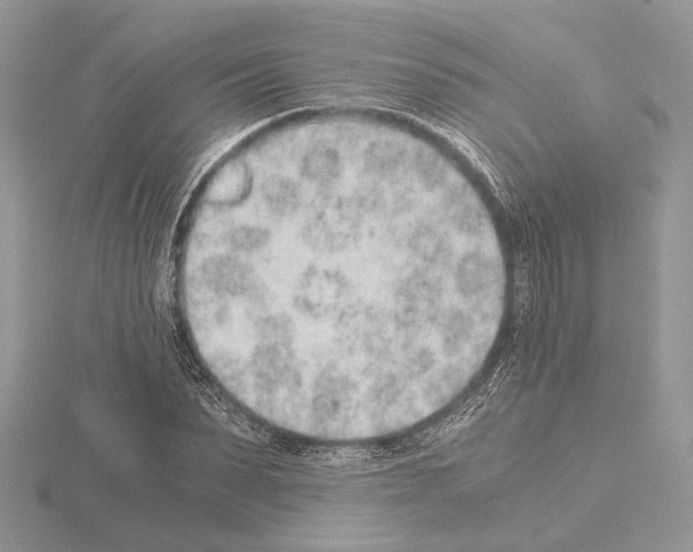 X0000115020879200912071025