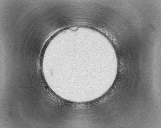 X0000115020880200912071025