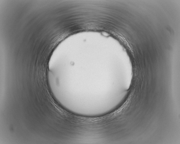 X0000115020881200912071025